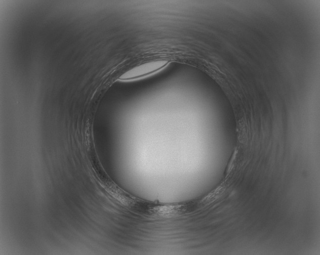 X0000054460184200507291031