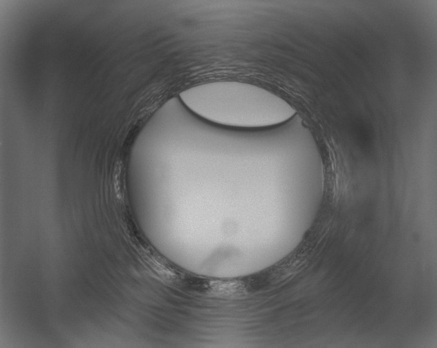 X0000054460185200507291031