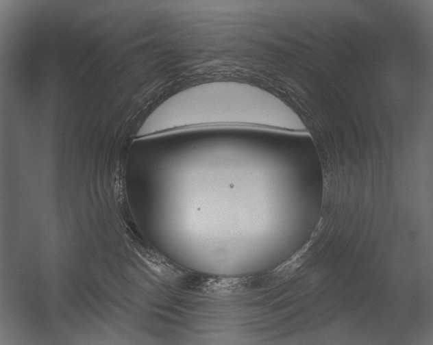 X0000054460186200507291031