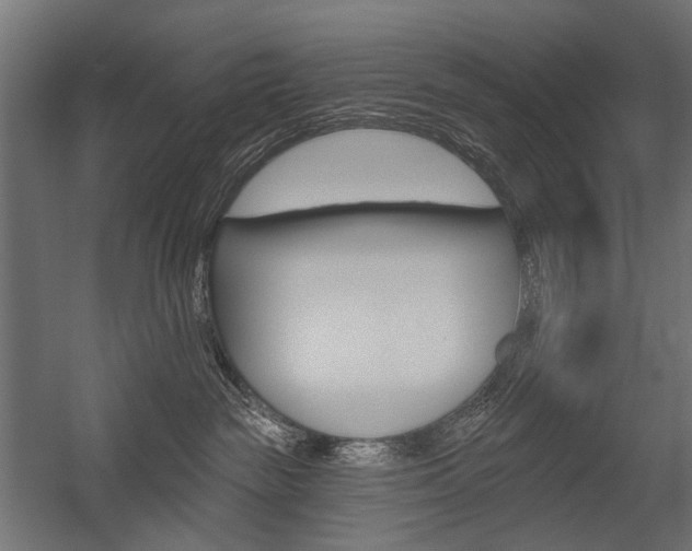 X0000054460189200507291031