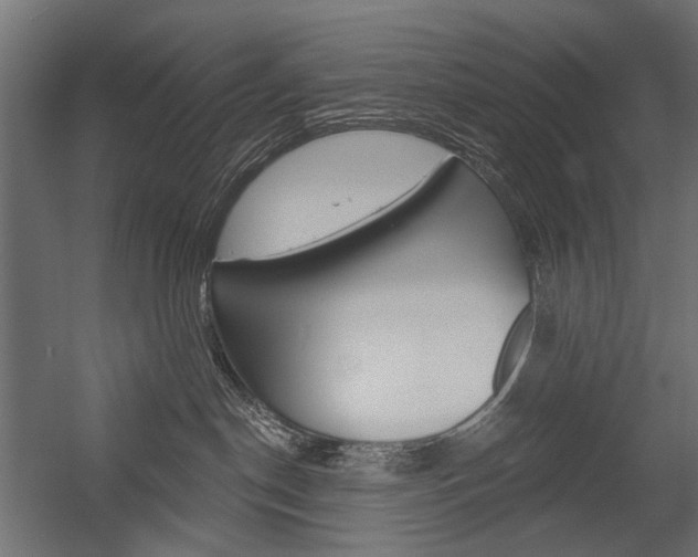 X0000054460190200507291031