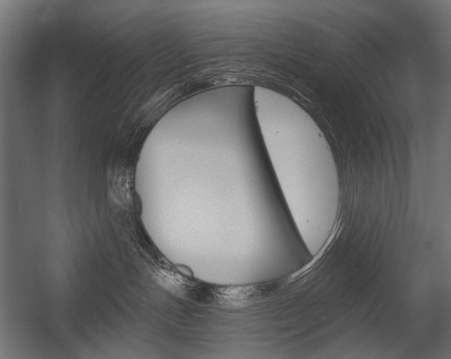 X0000054460191200507291031