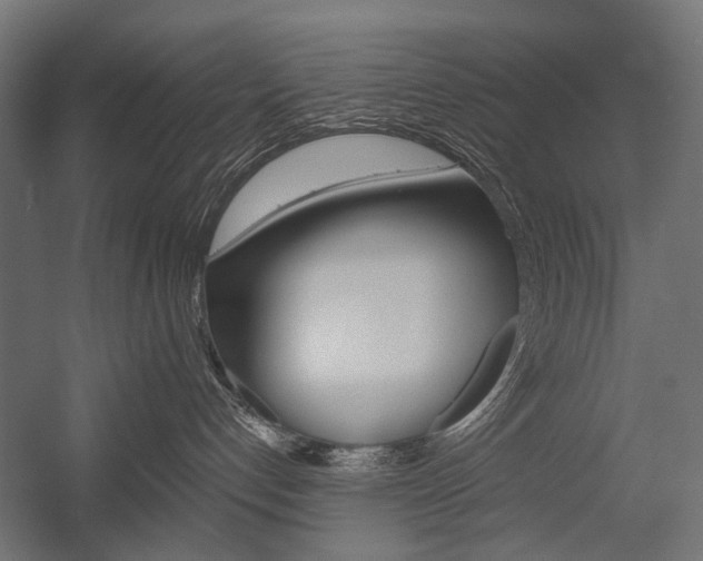 X0000054460192200507291031