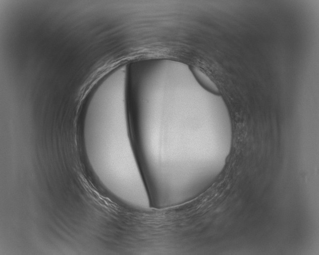 X0000054460194200507291030