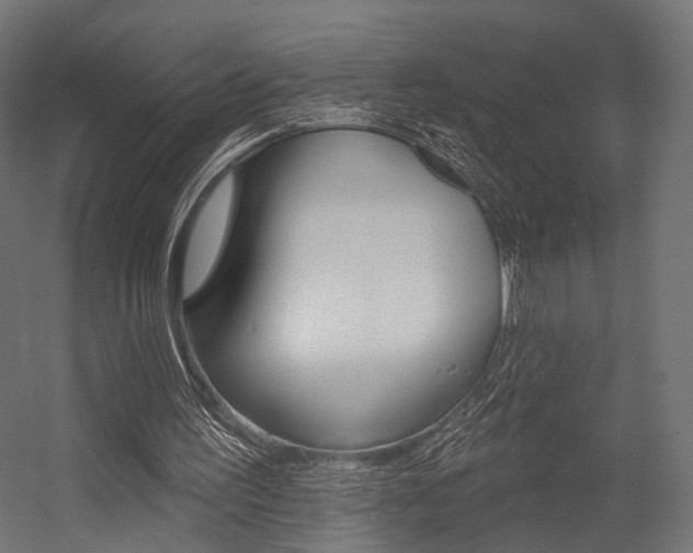 X0000054460195200507291030