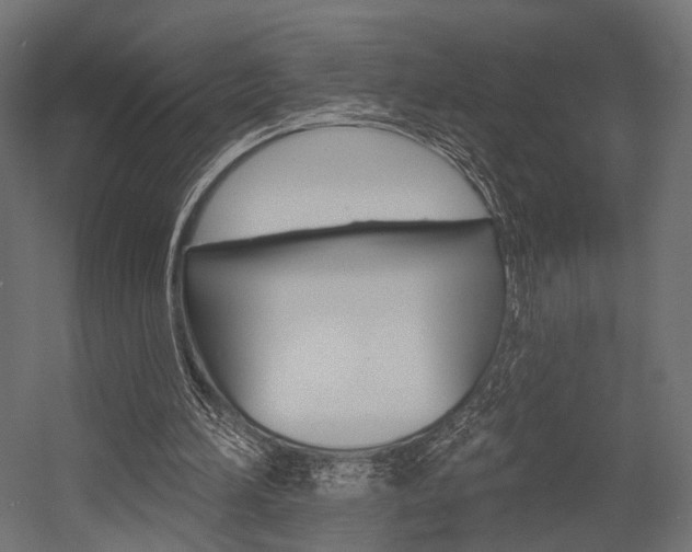 X0000054460196200507291030