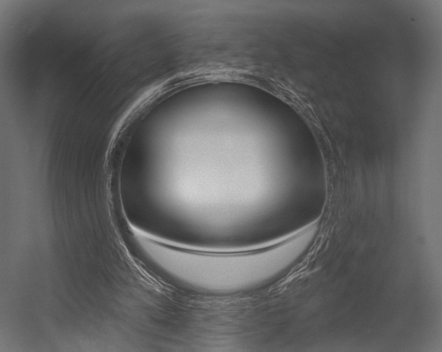 X0000054460197200507291030