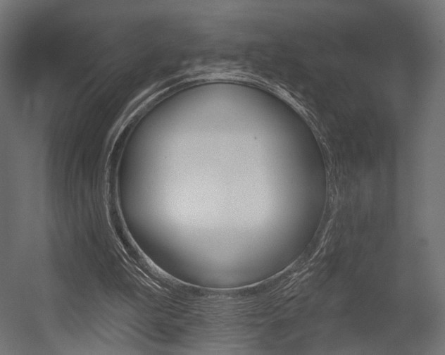 X0000054460199200507291030
