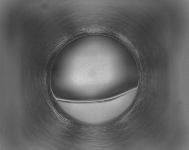 X0000054460201200507291030