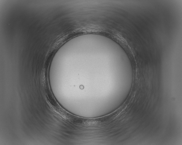 X0000054460202200507291030