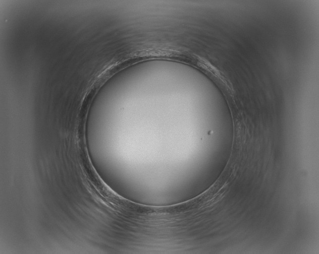 X0000054460203200507291030