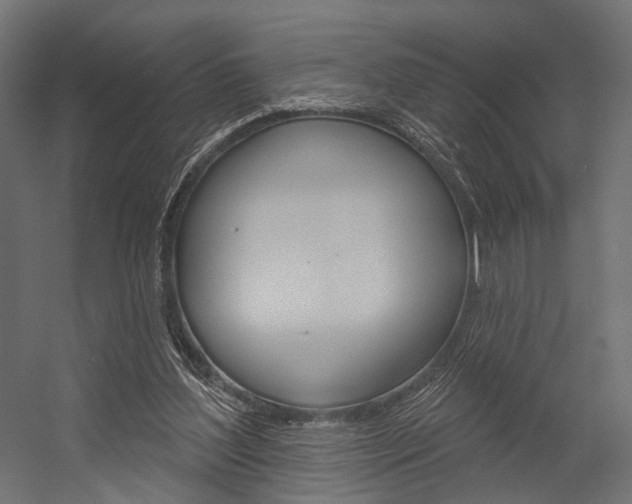 X0000054460204200507291030
