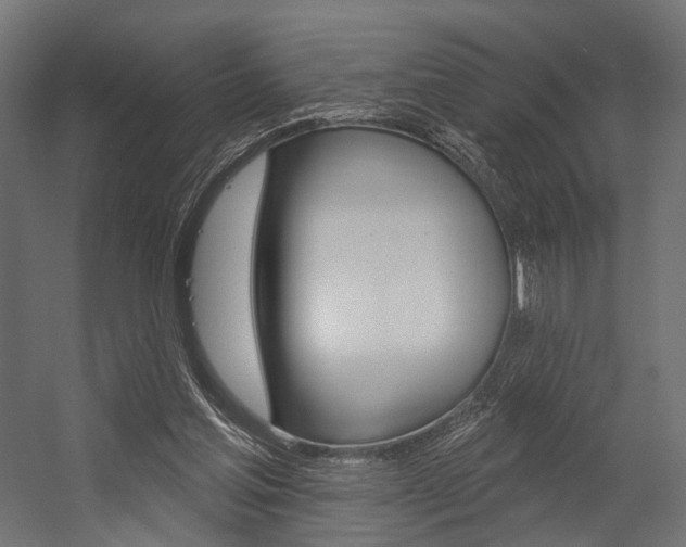 X0000054460205200507291030