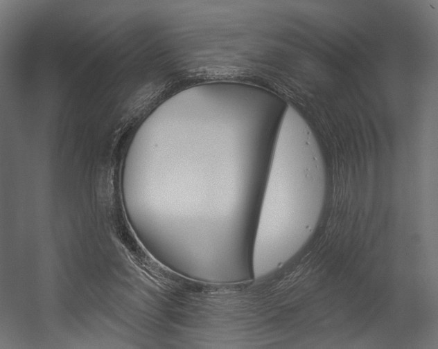 X0000054460206200507291030