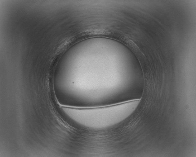 X0000054460207200507291030