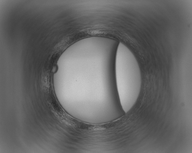 X0000054460210200507291030