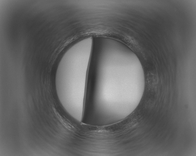 X0000054460212200507291030