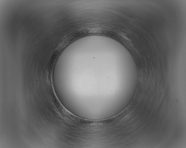X0000054460213200507291030