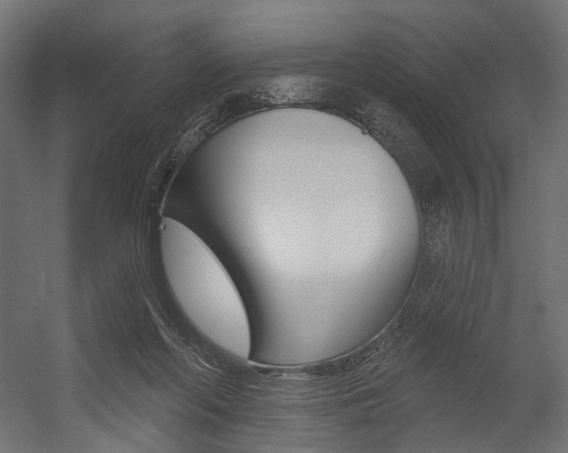 X0000054460214200507291030