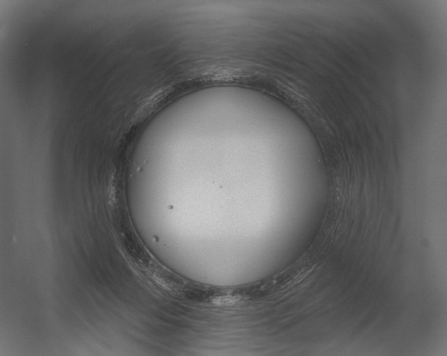 X0000054460216200507291030