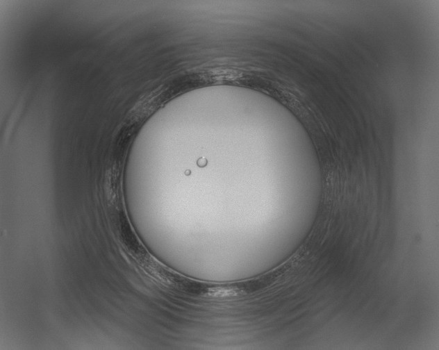 X0000054460218200507291030