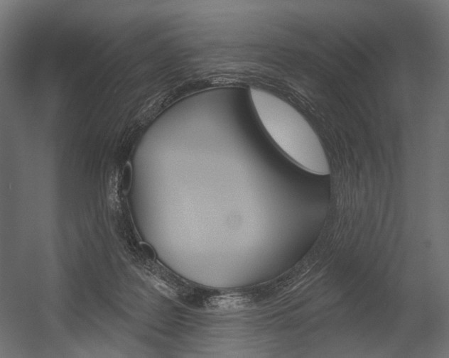 X0000054460219200507291030