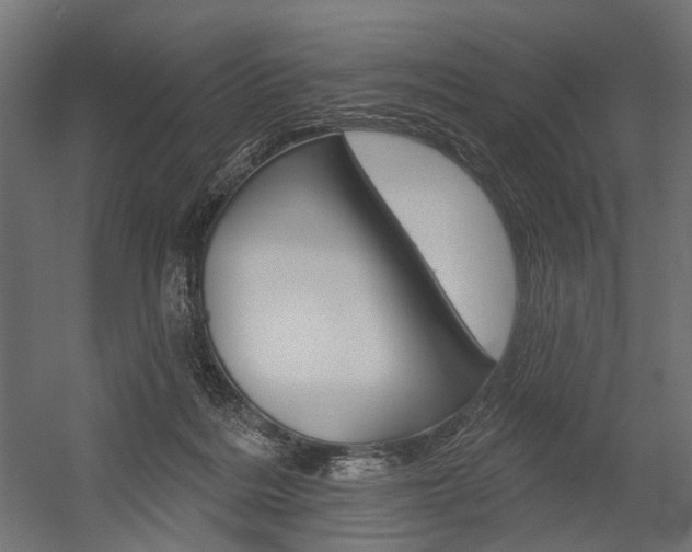X0000054460220200507291030