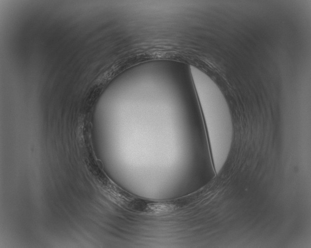 X0000054460221200507291030