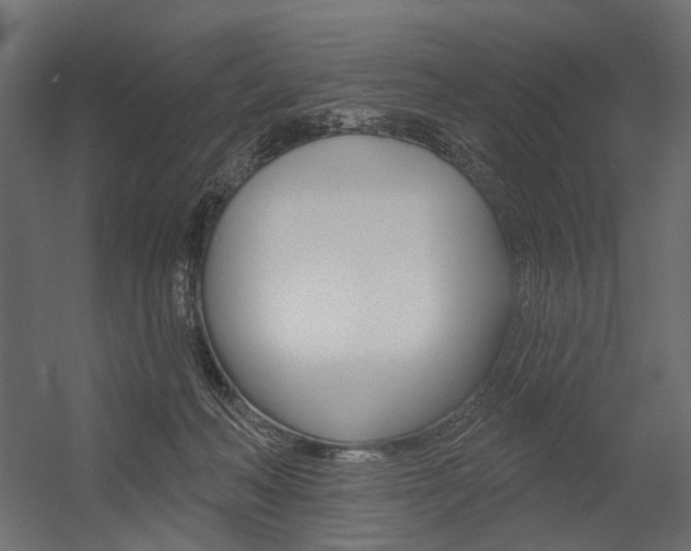 X0000054460222200507291030