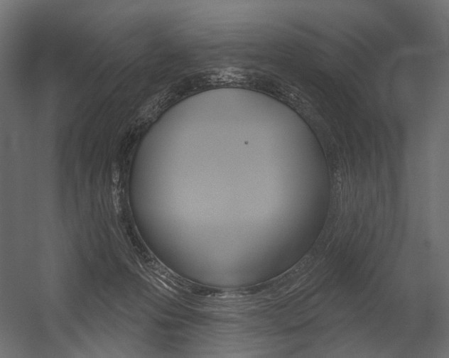 X0000054460223200507291030