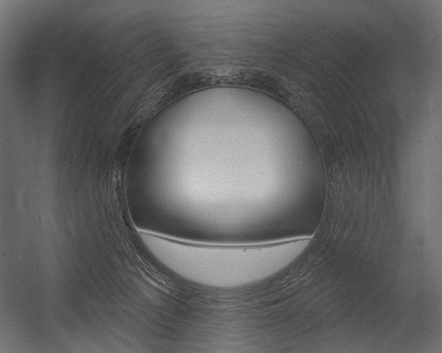X0000054460225200507291029