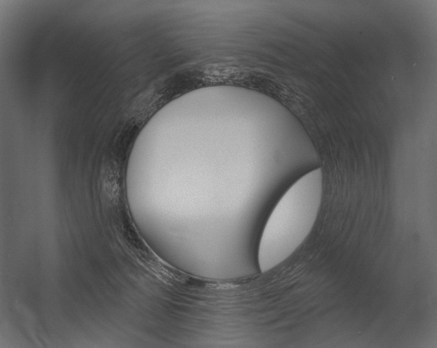 X0000054460226200507291029