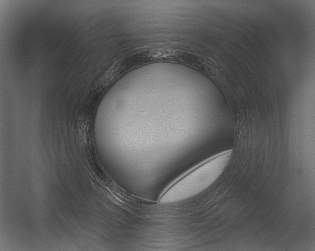 X0000054460227200507291029