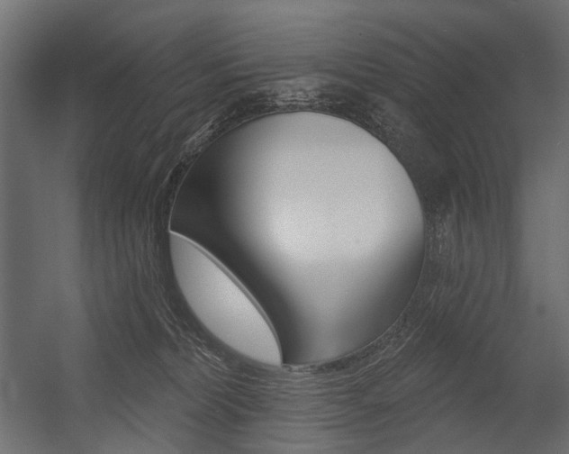 X0000054460228200507291029
