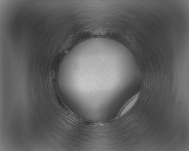X0000054460229200507291029