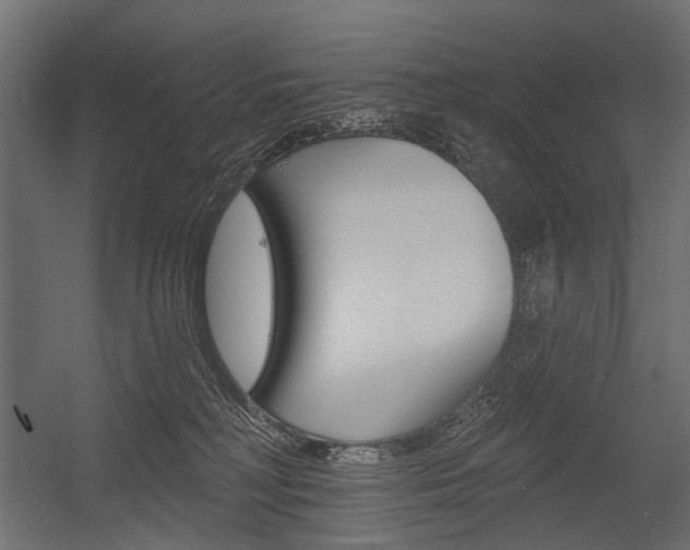 X0000054460230200507291029