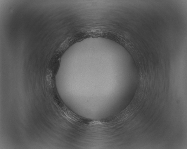 X0000054460231200507291029