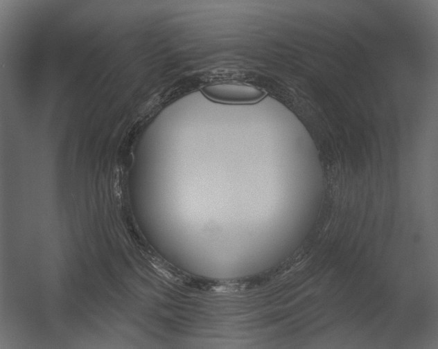 X0000054460232200507291029