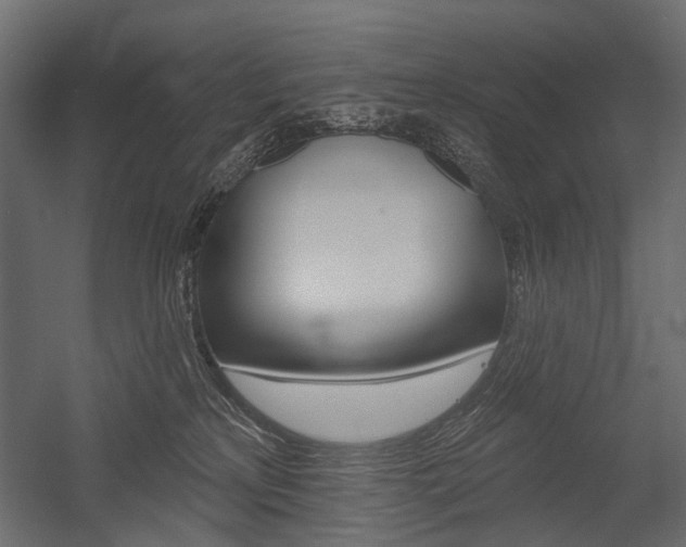 X0000054460233200507291029