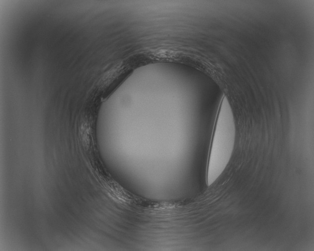 X0000054460235200507291029