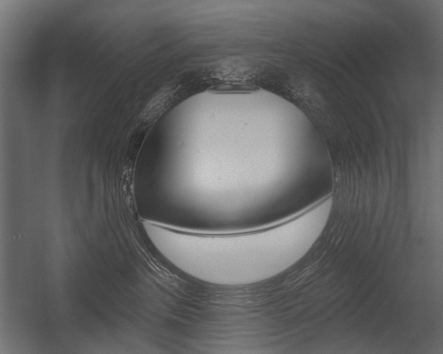 X0000054460237200507291029
