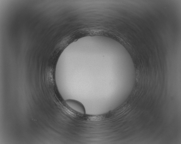 X0000054460238200507291029