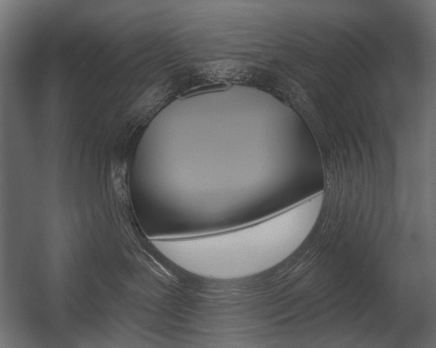 X0000054460239200507291029