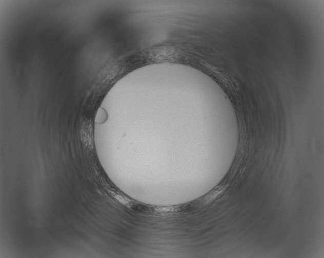 X0000054460240200507291029