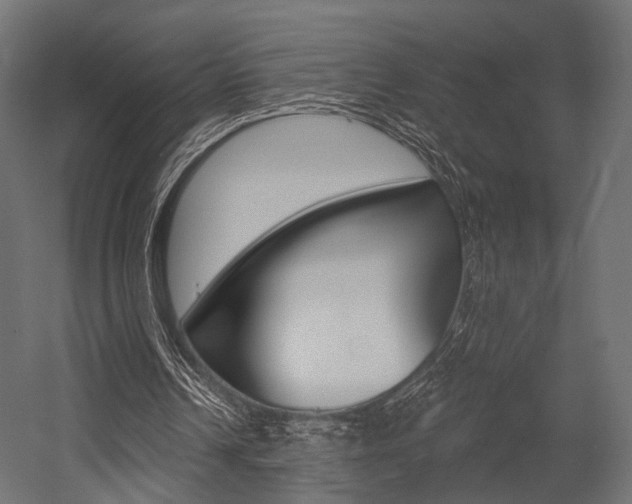 X0000054460242200507291028