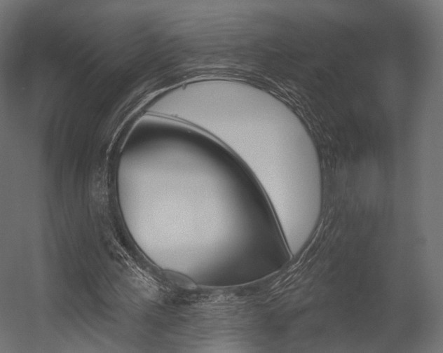 X0000054460243200507291028