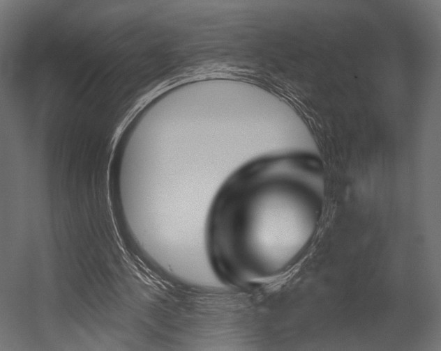 X0000054460244200507291028