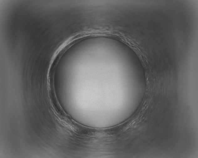 X0000054460246200507291028
