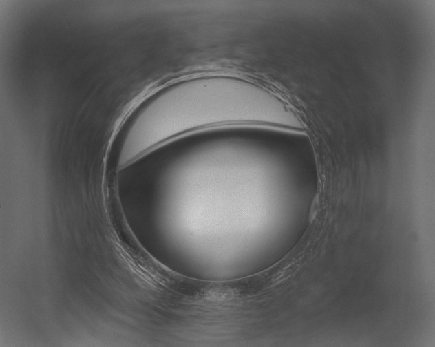 X0000054460248200507291029