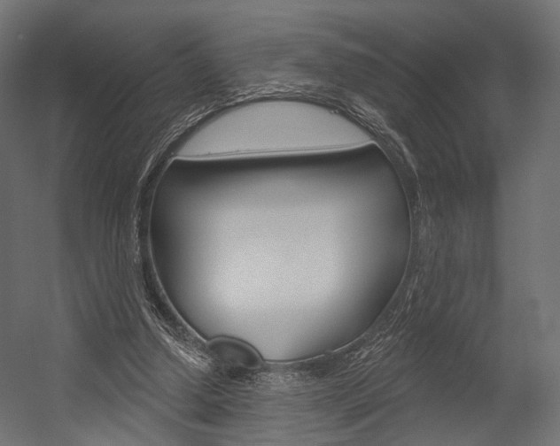 X0000054460250200507291029